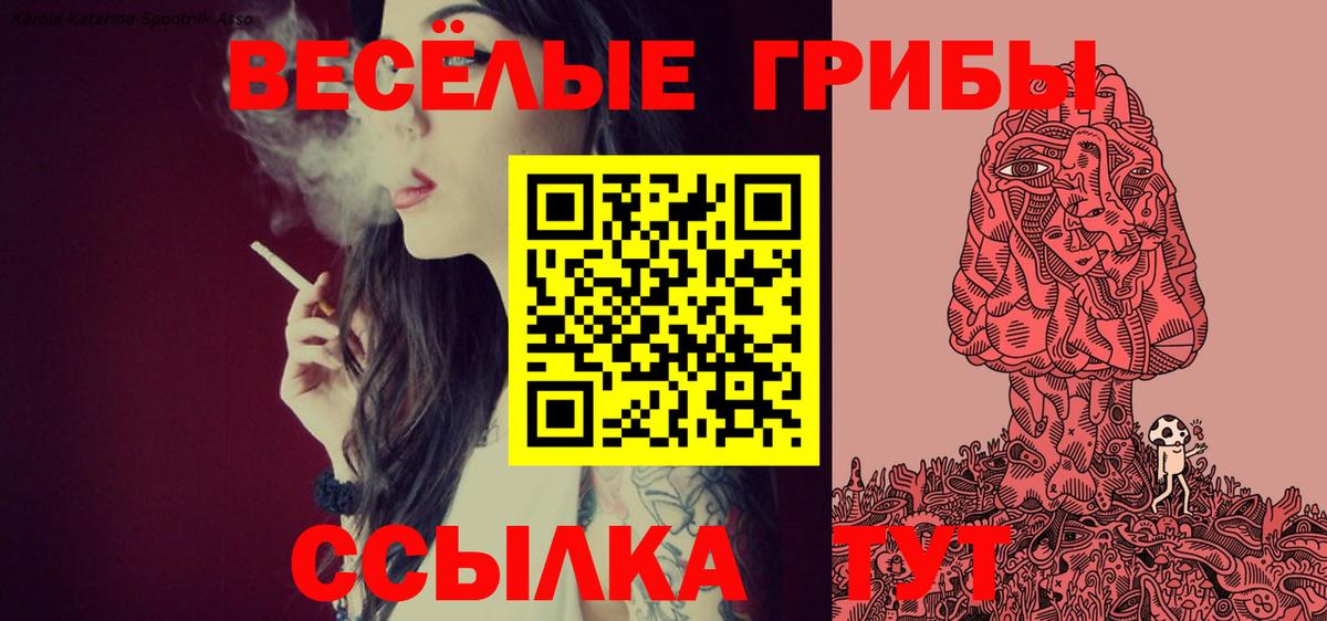 Псилоцибиновые грибы Cubensis  Вход с VPN  Приморско-Ахтарск 