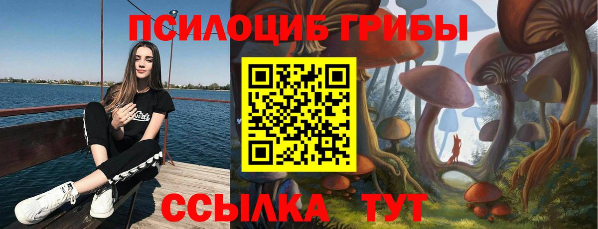 Псилоцибиновые грибы Magic Shrooms Приморско-Ахтарск